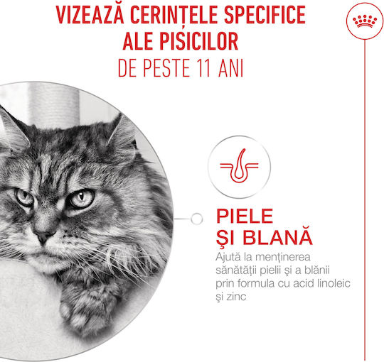 Royal Canin Ageing Υγρή Τροφή για Ηλικιωμένες Γάτες σε Φακελάκι με Κρέας 12x85gr