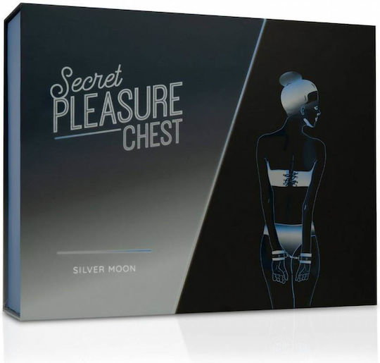 LoveBoxxx Secret Pleasure Chest BDSM Kit σε Ασημί Χρώμα 4τμχ