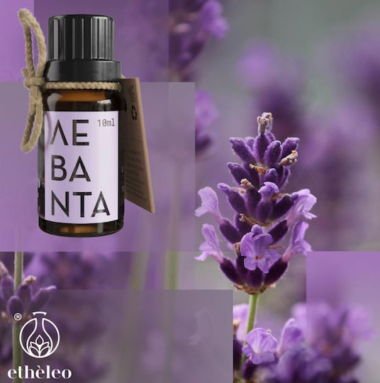 Etheleo Βιολογικό Αιθέριο Έλαιο Λεβάντα 10ml