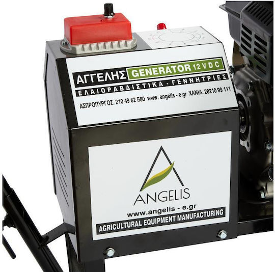 Αγγελής Γεννήτρια Ελαιοραβδιστικού 12-30V 100A Χωρίς Κινητήρα