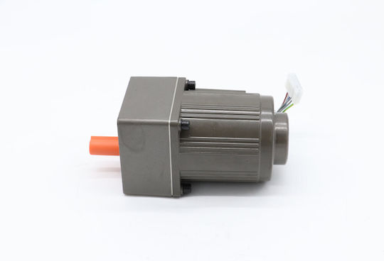 Maxima Motor