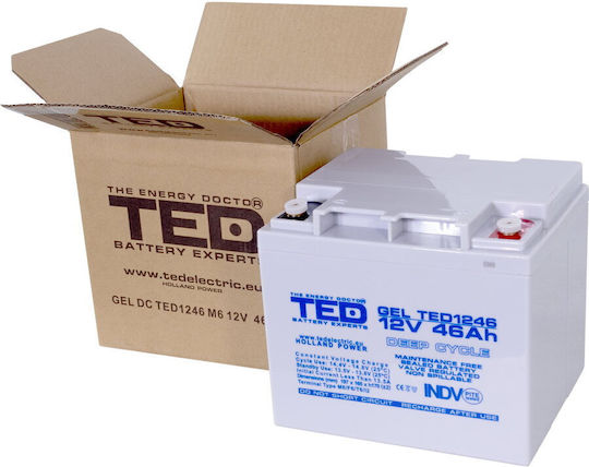 TED Electric Baterie UPS cu Capacitate 46Ah și Tensiune 12V A0058591 1buc