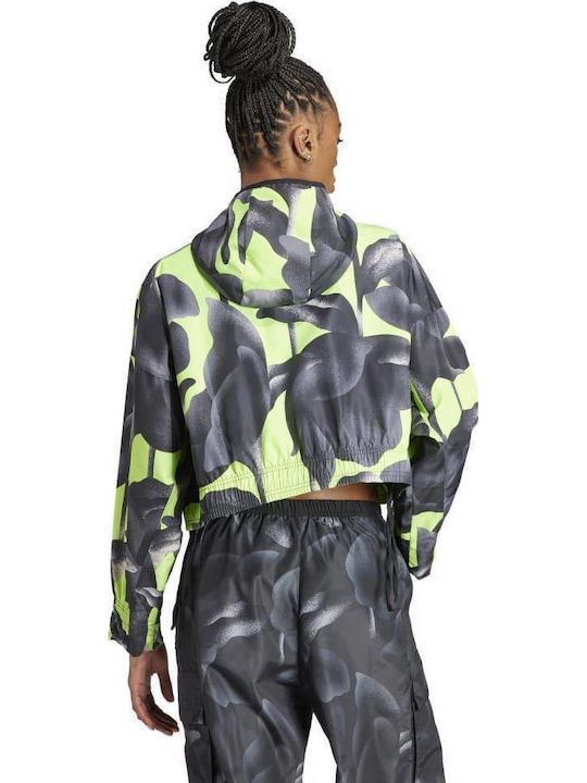 adidas Jacket Gray