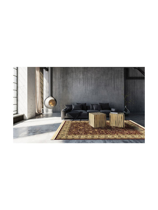 Newplan Plan Persia 1533 Rug Rectangular with Fringes Burgundy