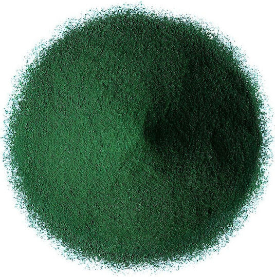 Bachadadiko Spirulina Pulver Bio 1000gr