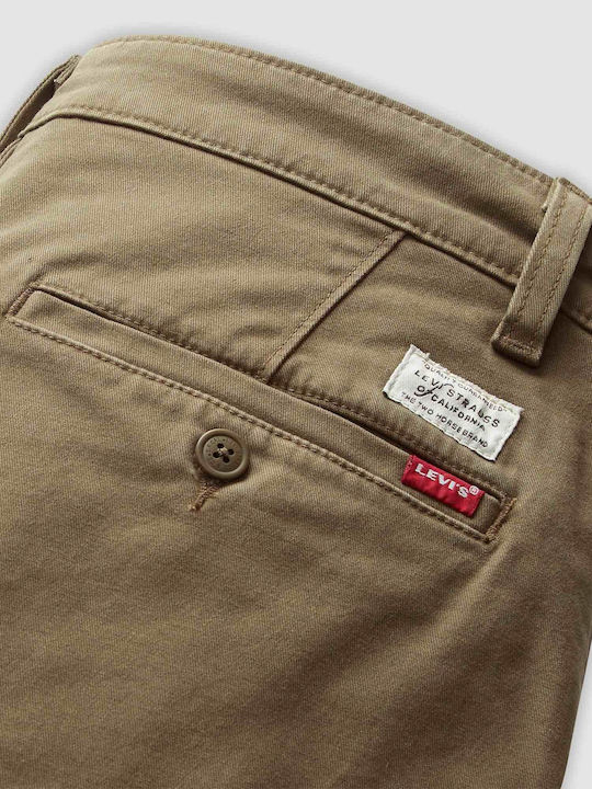 Xx Hose Chino Olive
