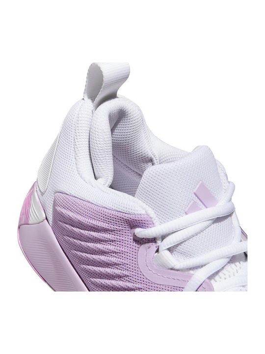 Initiation Low Basketball Shoes Purple