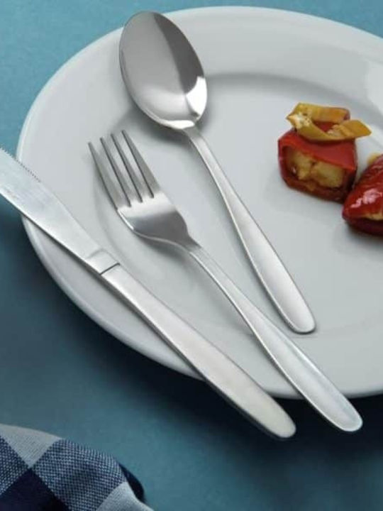 GTSA Löffelset Dessert / Eiscreme Edelstahl Silber 13.3cm 12Stück