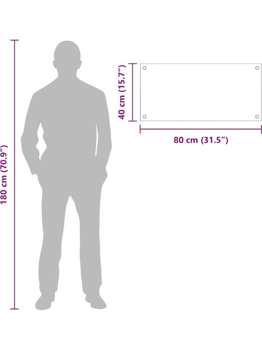 Vidaxl Rückenpaneel für die Küche Transparent 80 x 40 x 0,8 cm Gehärtetes Glas