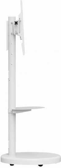 Gembird TVS-86TR-01-W Βάση Τηλεόρασης Δαπέδου έως 86" και 50kg Λευκό