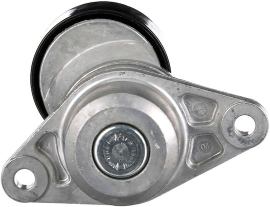 Gates T39163 Tenzontreiber für Auto Lichtmaschinen