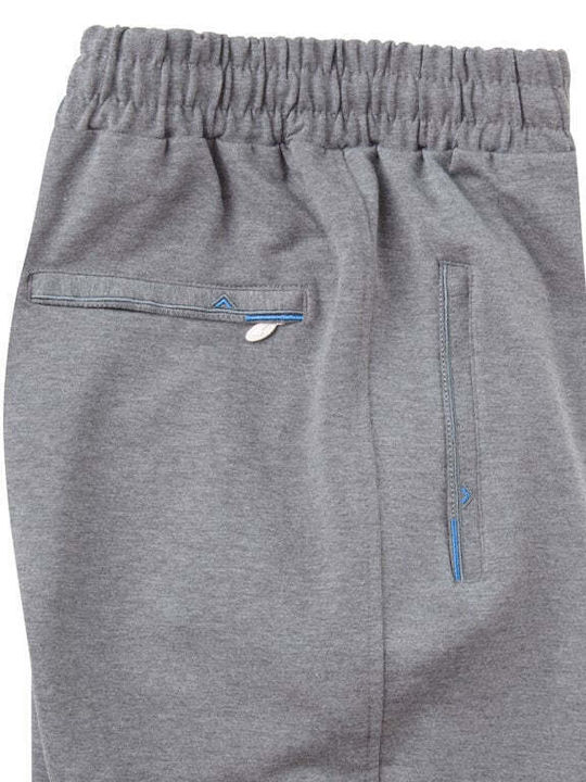 Sport Taims