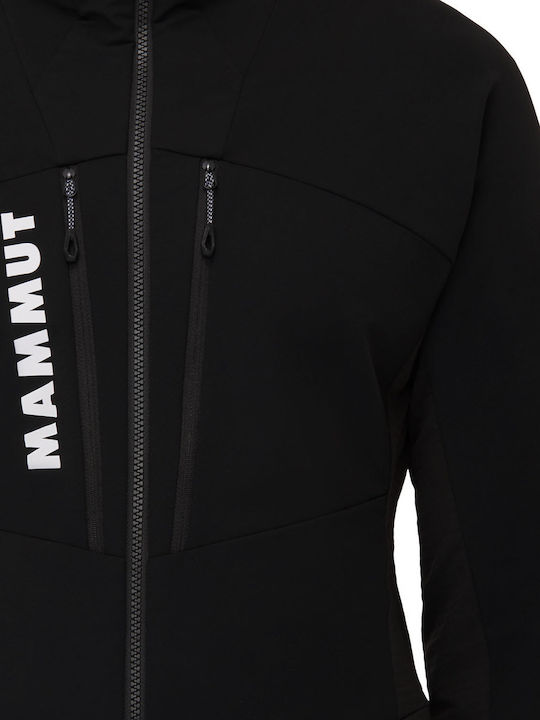 Mammut