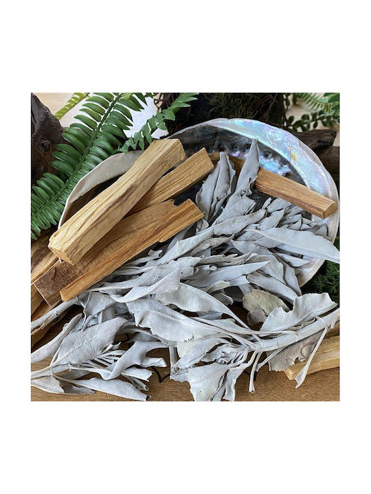 Smudge Set Palo Santo Φασκόμηλο Κοχύλι Καθαρισμό Χώρου Αύρας