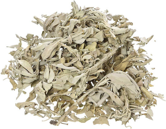 Set Smudge Palo Santo Salvie Scoică Curățare Spațiu Aură