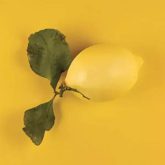 Silikomart Limone Formă de Patiserie din Silicon 3x3x2.7buc 1buc