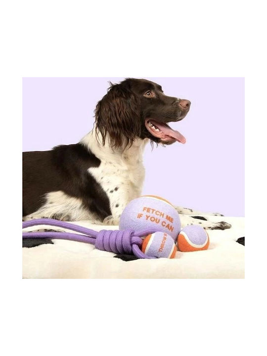 Coockoo Образователна Играчка За Куче Лилава Coockoo Образователна Играчка За Куче Лилава