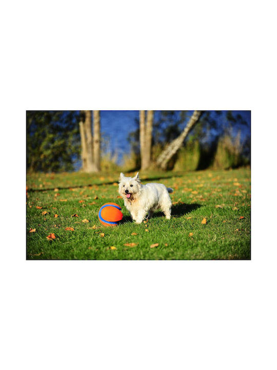 Chuckit Fetch Παιχνίδι Σκύλου Small 1τμχ