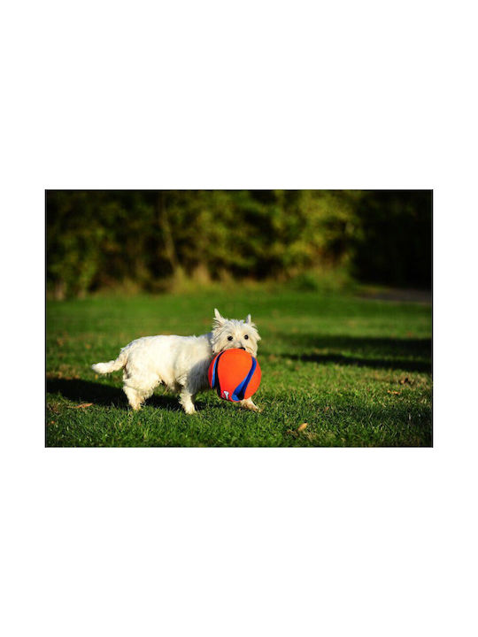 Chuckit Fetch Παιχνίδι Σκύλου Small 1τμχ