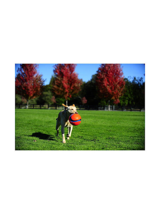 Chuckit Fetch Παιχνίδι Σκύλου Small 1τμχ