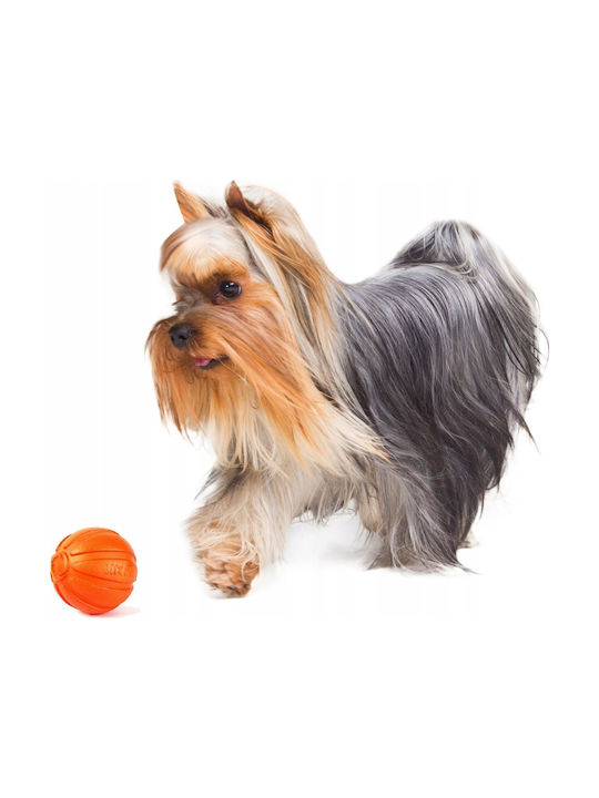 Doggy Village Kugel Hundespielzeug