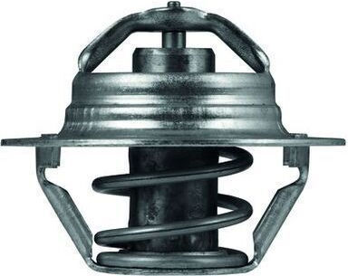 Thermostat Cooling Liquid Mahle Tx 100 89d