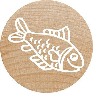 Colop Woodies Stamp Set "exotic Animation" Retail