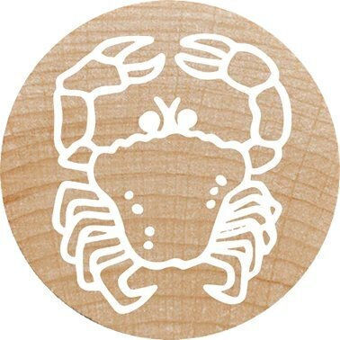 Colop Woodies Stamp Set "exotic Animation" Retail
