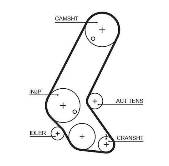 Gates Timing Belt Kit K015595xs