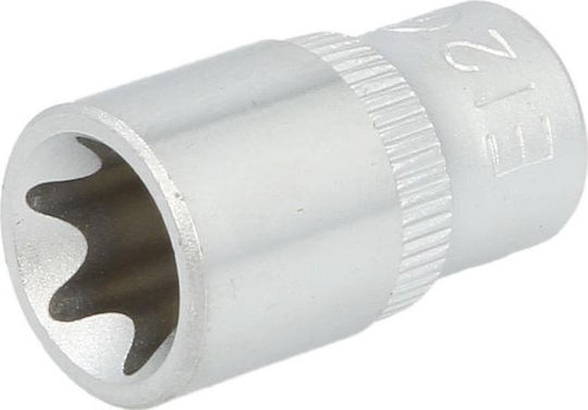 Rockforce Torx Socket with Frame Host 1/2" Size E10