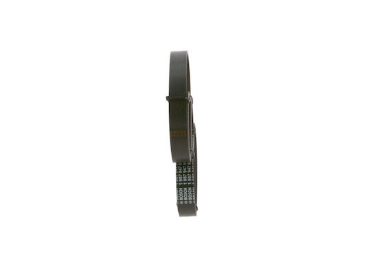 Bosch Ribbed Drive Belt 1 987 947 950