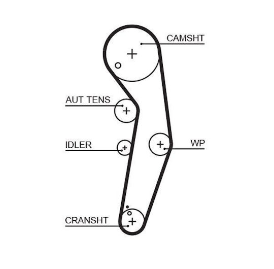 Gates Timing Belt Kit K015569xs