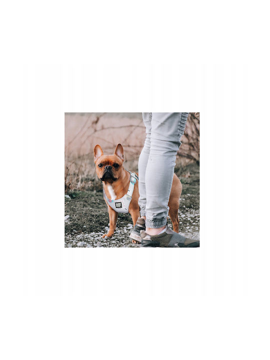 Hundegeschirr Kleine Rassen Graue S Halsumfang 26-33cm/Brustumfang 30-43cm