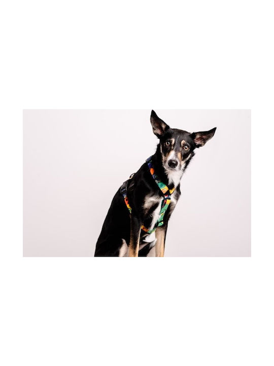 Chaba Chaba Guard Story Hundegeschirre M Jumbo 2.0/35-55cm