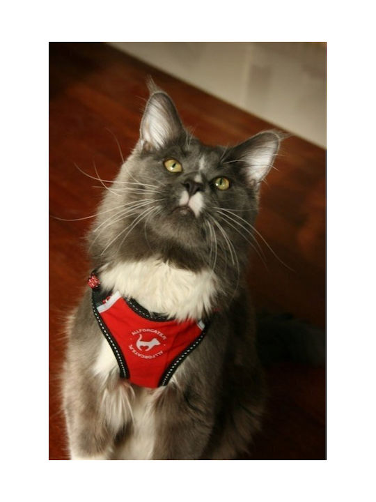 All Dogs All Cats Athletic Straps Xs Yellow All Dogs All Cats Athletic Straps Xs Yellow