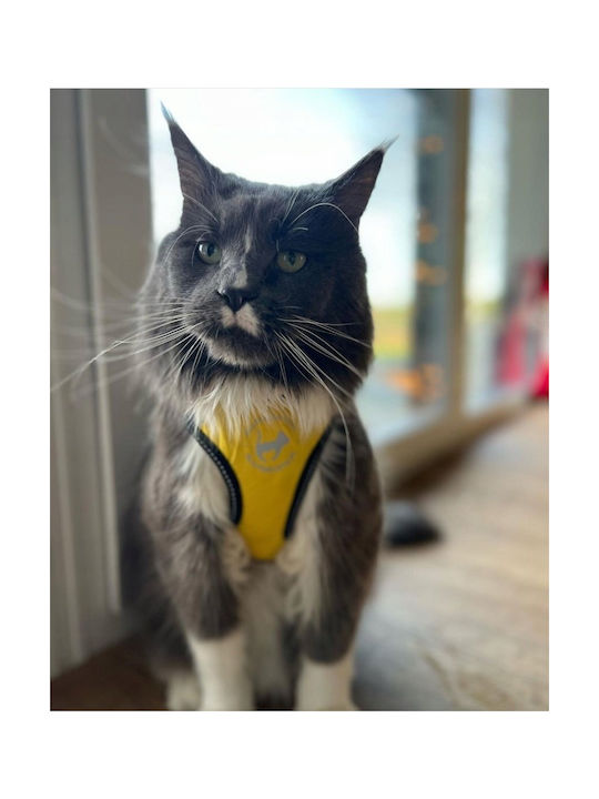 All Dogs All Cats Athletic Straps Xs Yellow
