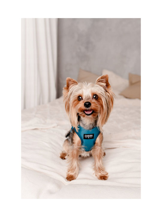 Chaba Chaba Guard Comfort Xs Harness 1 6cm/32-37cm Ναυτικο