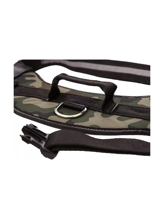 Hobbydog R1 Julletta Braunes Hundegeschirr