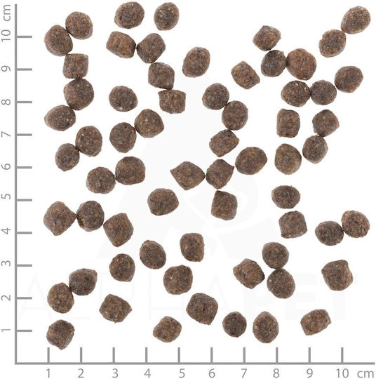 Wolfsblut 7.5kg Ξηρά Τροφή για Ενήλικους Σκύλους Μικρόσωμων Φυλών με Αρνί και Ρύζι