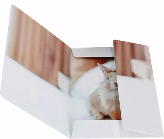 A4 Rabbit Paper Folder Elastic Stk Fol10/100