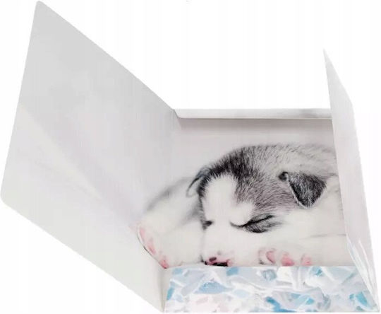 A4 Dogs Paper Folder Elastic Pcs Fol10/100