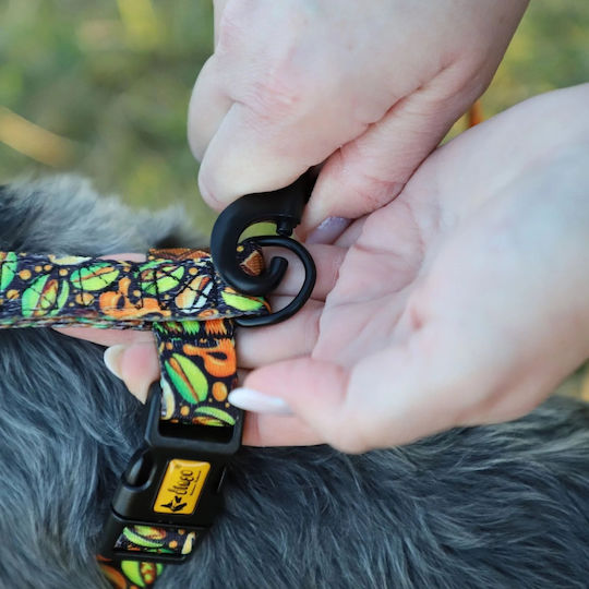Dingo Leash Reg City Dubai 3.0 X 220cm