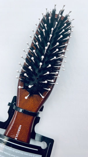 Hercules Sagemann Bürste Haare