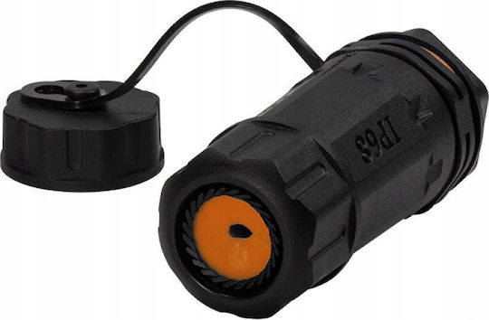 Techly Iwp-md C6a-ipglt Schimbător De Sex Pentru Cablu Rj45 Negru