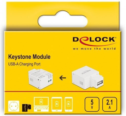 Delock Keystone Module USB Type-A Charging Port 2.1 A White Flat White USB A Terminal Female Female