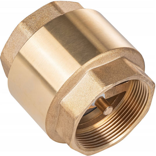 Non-return Valve Stop Metal Closure Gw Gw 1 1/4gw X 1 1/2gw