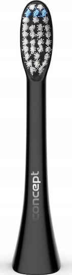 Concept Perfect Smile Ersatzköpfe für ZK0053 4 Stück
