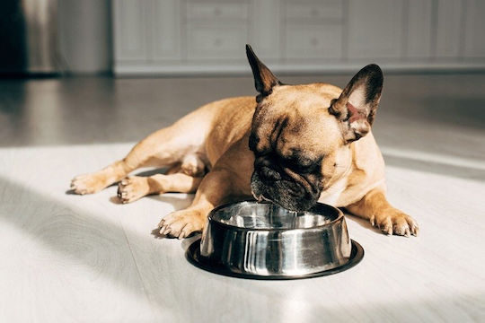 Pan Miesko 3kg Dry Food for Dogs with Turkey
