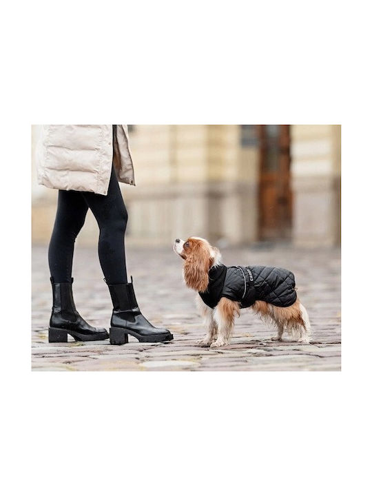 Chaba Adjustable Chic Xs Black Harness