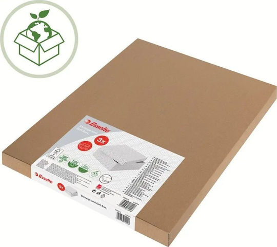 Ablagebox Weißes Rechteckiges Pappkarton Innenraumdesign